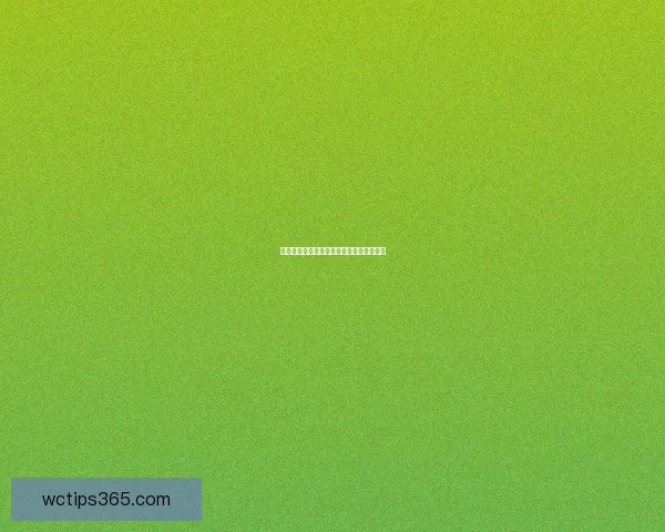 最新世界杯全赛程安排与比赛时间详细指南