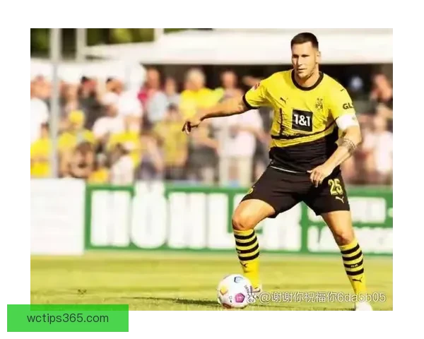 阿斯拉尼传闻入多特引援名单 双方尚未展开正式接触